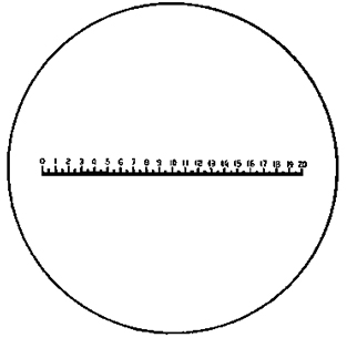 100009688
